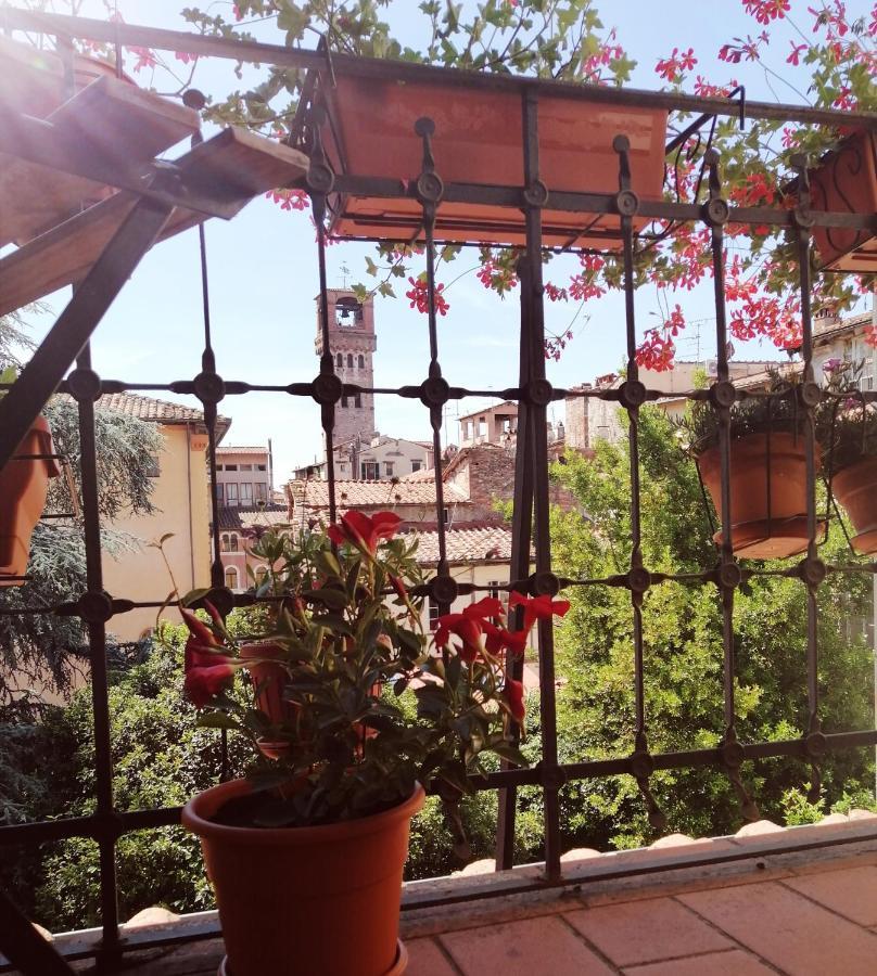Bed And Breakfast Evelina ルッカ エクステリア 写真