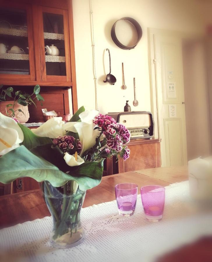 Bed And Breakfast Evelina ルッカ エクステリア 写真