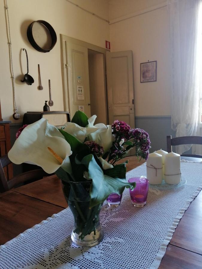 Bed And Breakfast Evelina ルッカ エクステリア 写真