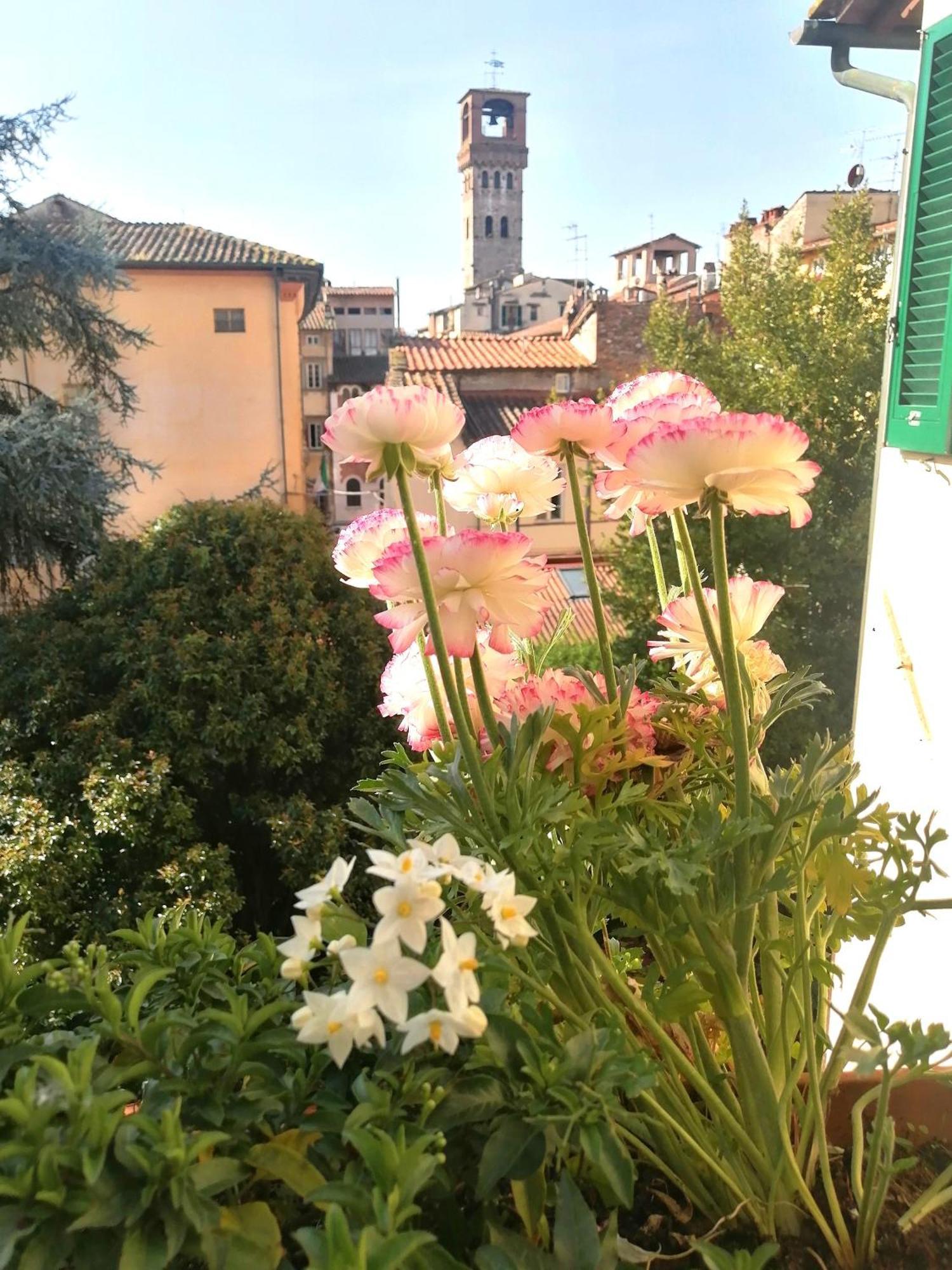 Bed And Breakfast Evelina ルッカ エクステリア 写真